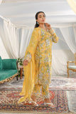 Noor MK-025 / (LAWN)