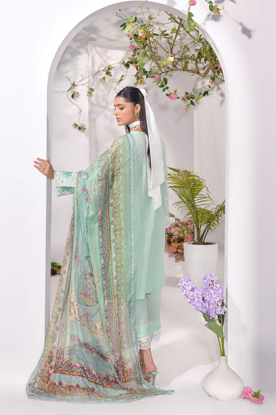 New Arrivals – Addee PK