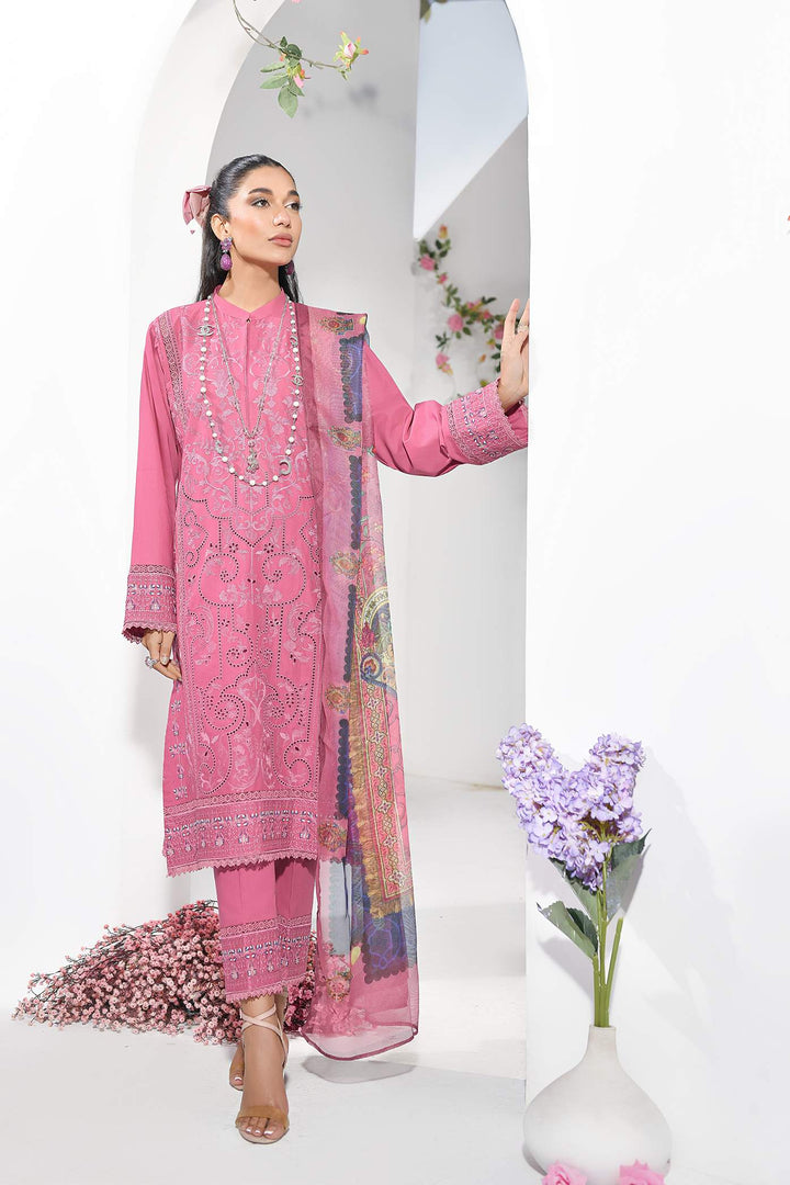 New Arrivals – Addee PK
